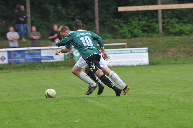 喷洒农药 喷洒农药