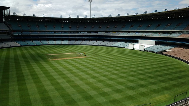 保護他們的 保護他們的