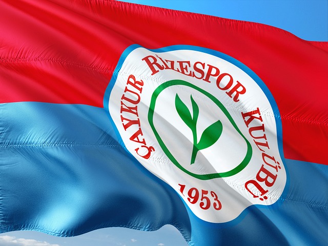 为比赛增添 为比赛增添