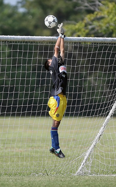 的足球赛场 的足球赛场