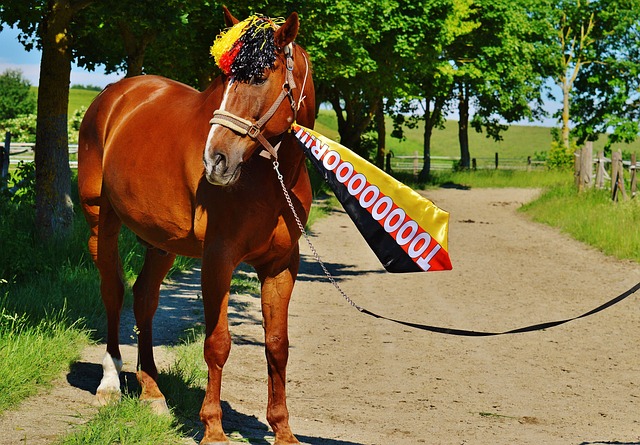 开拓者vs奇才比赛预测 02月27日NBA.