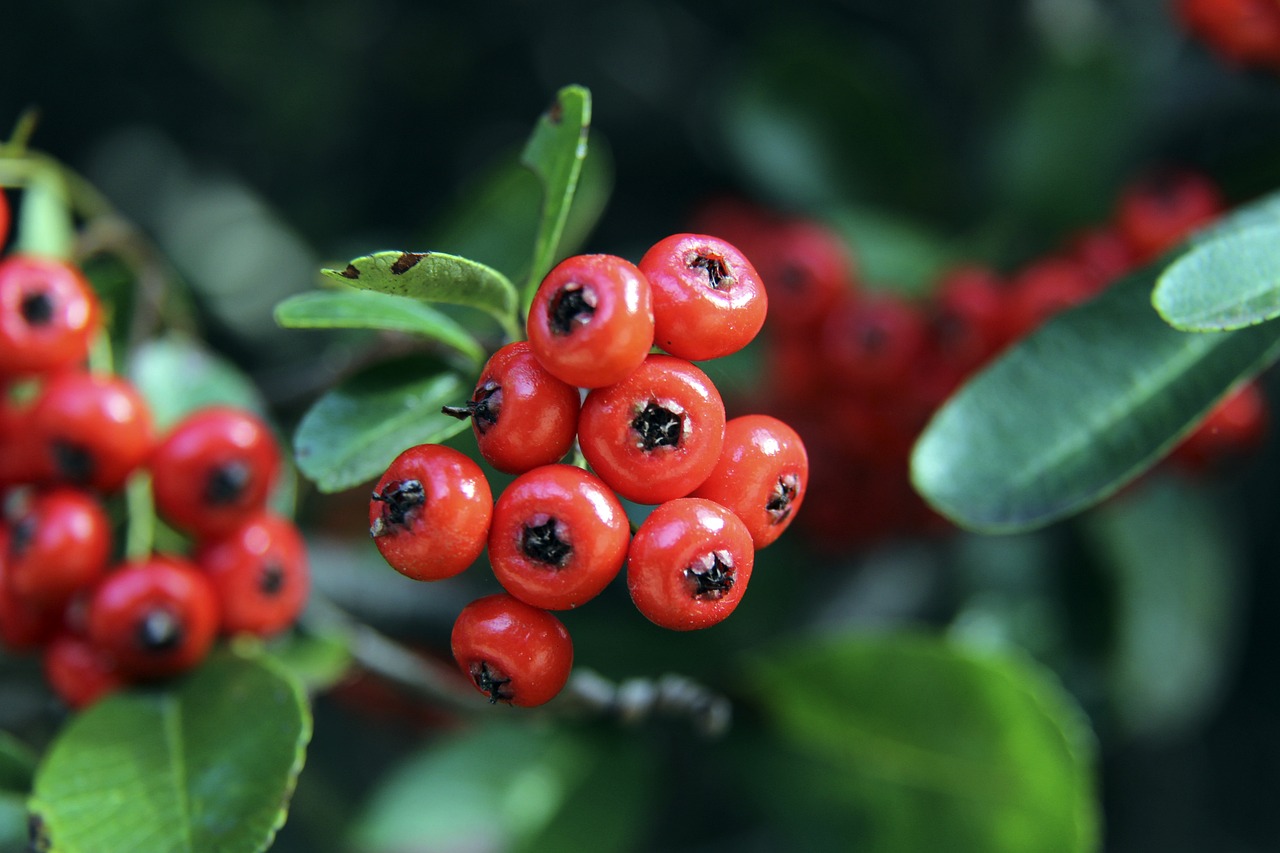 法律关系 法律关系