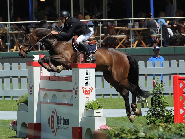 法律关系 法律关系