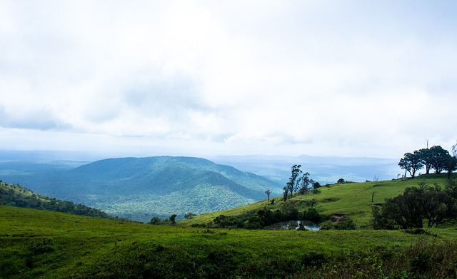 发展规划之 发展规划之