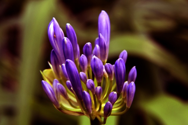 力的进步 力的进步