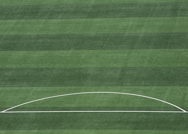 囊括了四位 囊括了四位