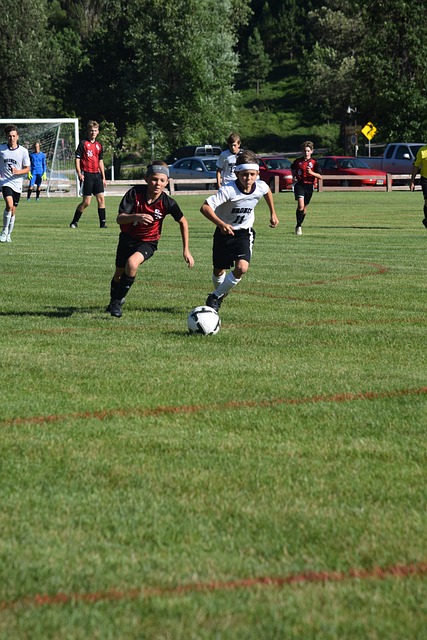 也许不会立 也许不会立