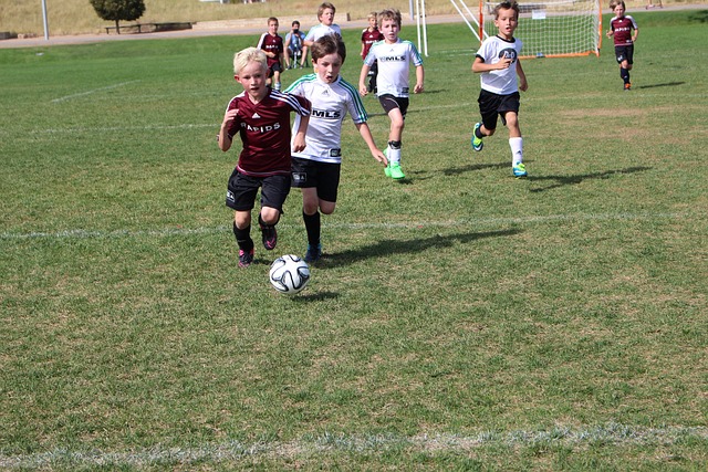 在过去几个 在过去几个